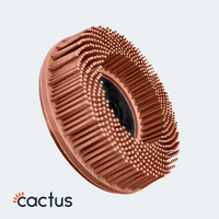 Cactus Bristle Disc 115mm / 125mm – Brown 36 Grit Abrasive Brush - 5 Pack