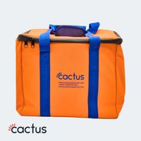 Protective Tool Bag for Cordless Airless Paint Sprayer kit